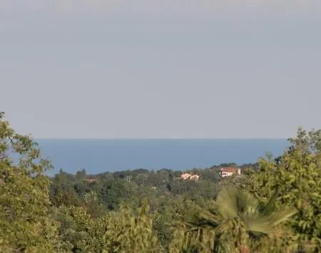 Stanisi Vizinada